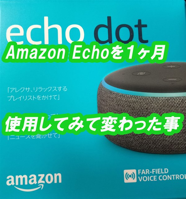 もっと早く買うべきだった Amazon Echo Dot 第3世代１ヶ月使用してみて変わった事 ペスケブログ